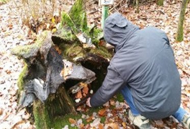 Fellingshäuser Krippenweg eröffnet