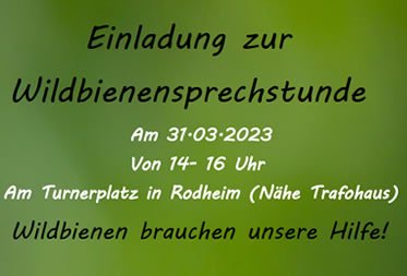 Einladung zur Wildbienensprechstunde