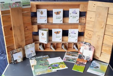 Pressemitteilung zur Wildbienensprechstunde