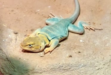 Ausflug zu Vogelpark Schotten