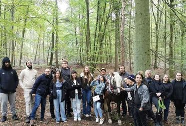 Facetten des Holzhandwerks beleuchtet
