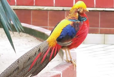 Ausflug in den Vogelpark am 28.03.2024