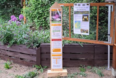 Wildbienensprechstunde